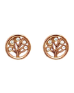 Naušnice RoseGold Drvo Života